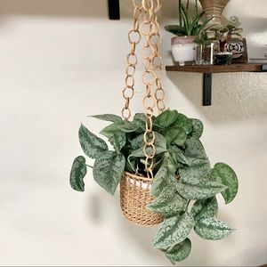 Vintage Rattan plant hanger